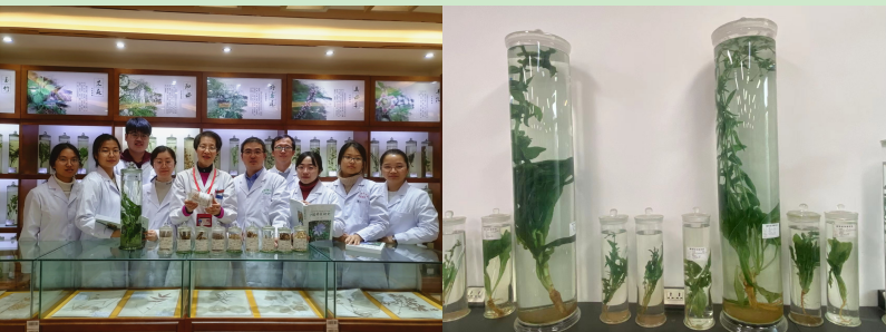 屏幕截图 2024-04-16 182339.png