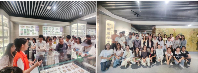 屏幕截图 2025-09-12 204748.png