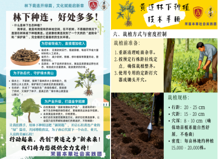 屏幕截图 2025-10-10 145517.png